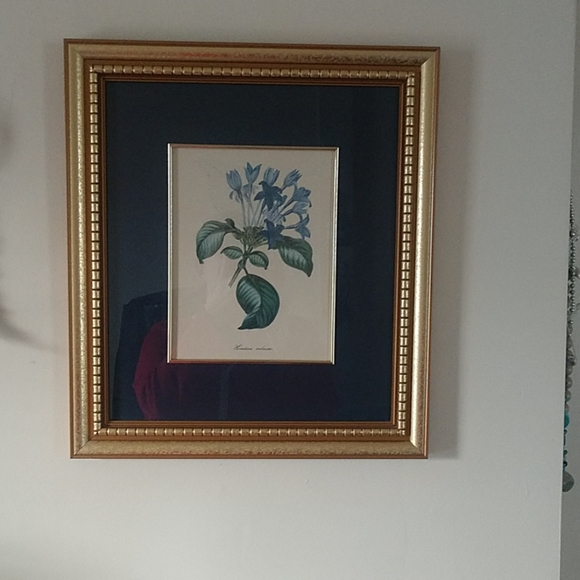Vintage Frame Other - EUC Botanical Print Vintage